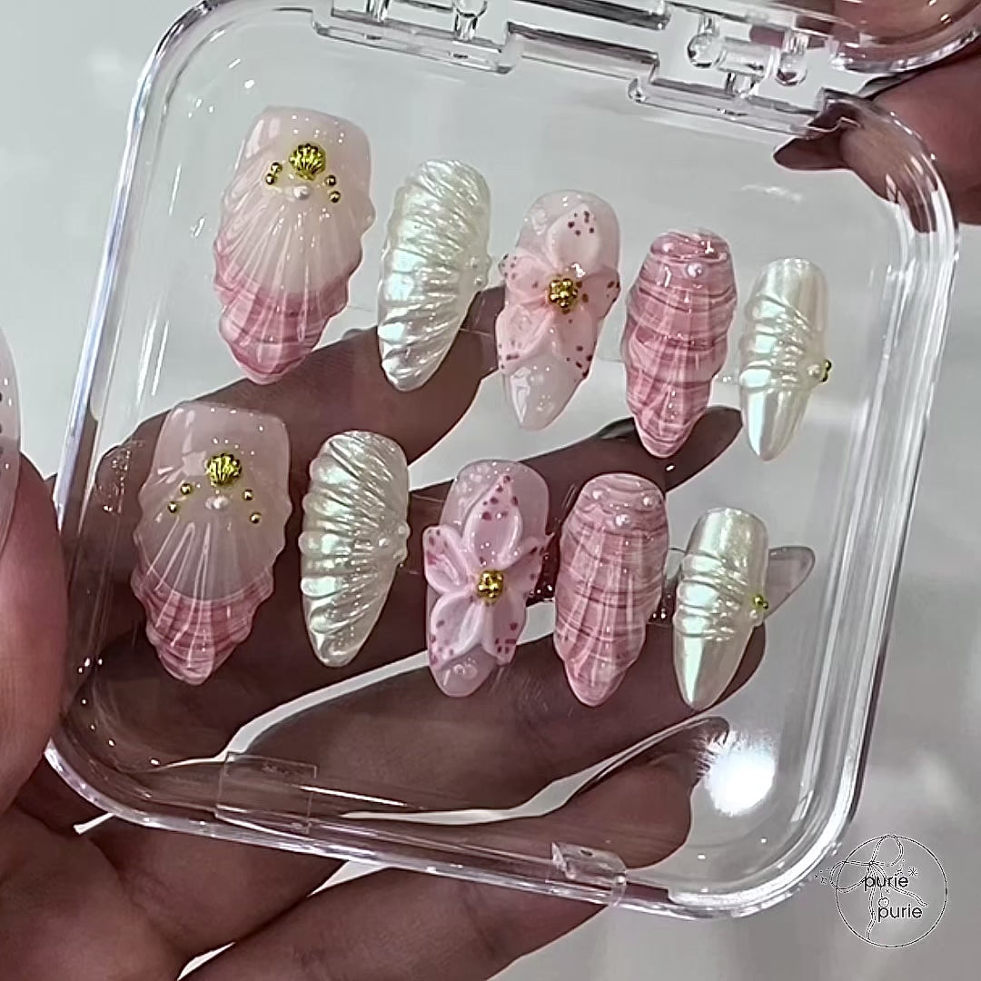 Pinky Seashell